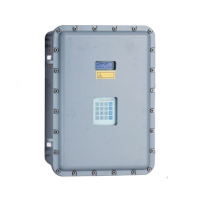 E+H  SS2100I 氣體分析儀