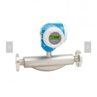 E+H質(zhì)量流量計 8F2B