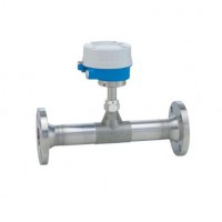 E+H  6F3B 熱式質(zhì)量流量計 Proline t-mass F 300