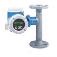 E+H  熱式質(zhì)量流量計(jì) 65F